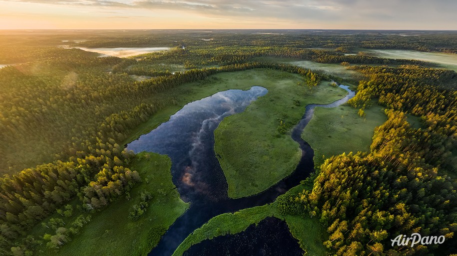 Four Seasons. Summer Forest. Relax Flight