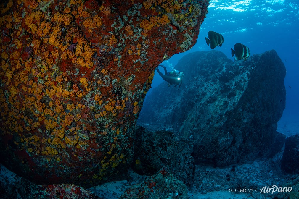 Rocks