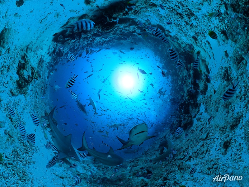 Beqa Lagoon