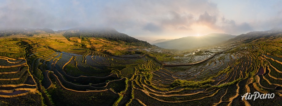 Rice Terraces, Yunnan province, China