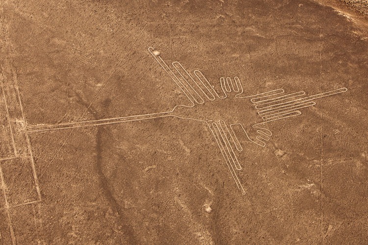 Nazca lines, the Colibri