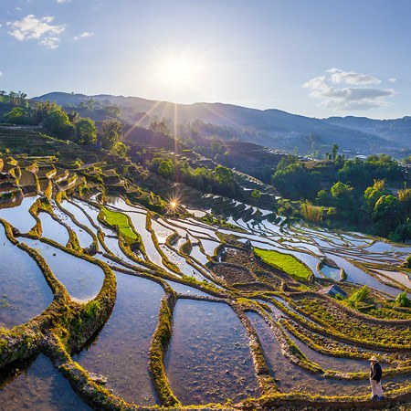 中国 元阳哈尼梯田