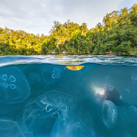 印度尼西亚 拉贾安帕特 水母湾 水面交界全景图