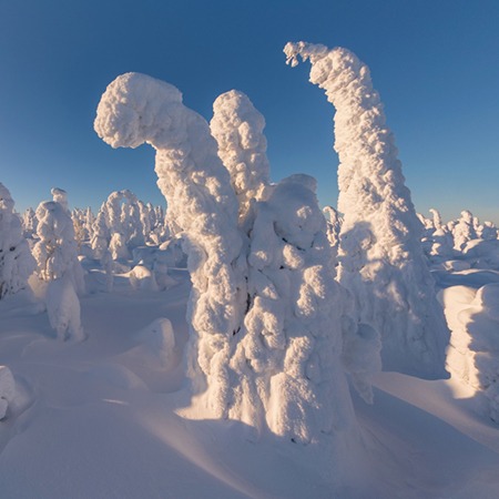 芬兰拉普兰 冬天的童话