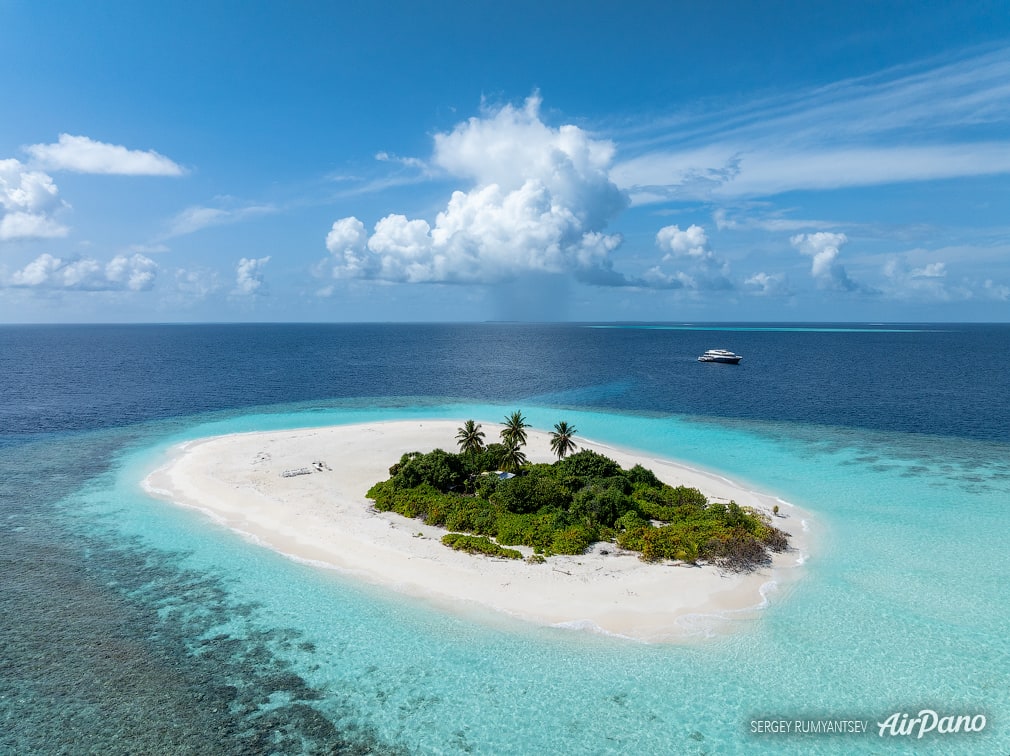Bird Island