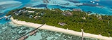 Tropical Paradise