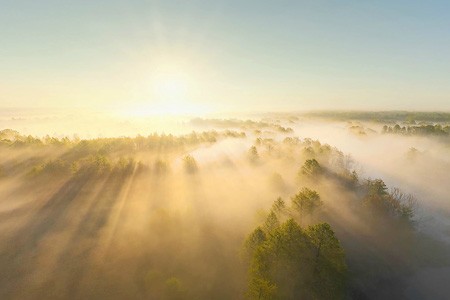 俄罗斯 布莱恩斯克森林 清晨薄雾