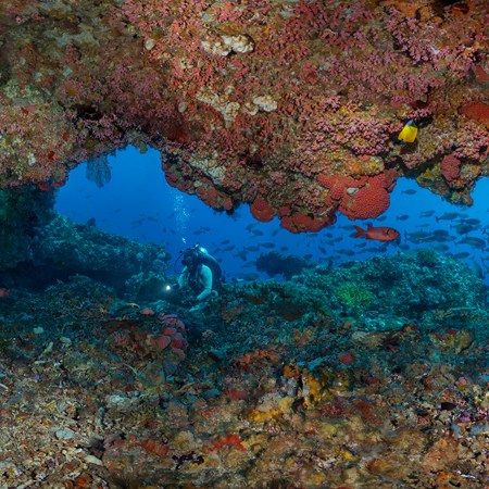 印度尼西亚 科莫多-水下洞穴