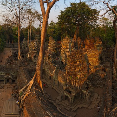 柬埔寨 吴哥 塔普伦寺