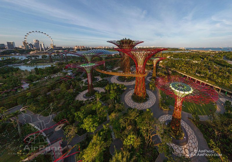 Supertree Grove (Gardens of the Bay)