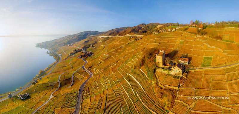 Vineyards Vineyards